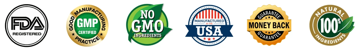 Why Choose Memory Fuel?